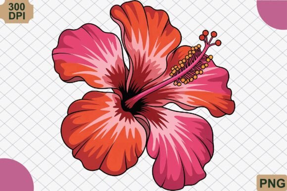 Download Hibiscus Flower, Summer PNG - Premium Resources